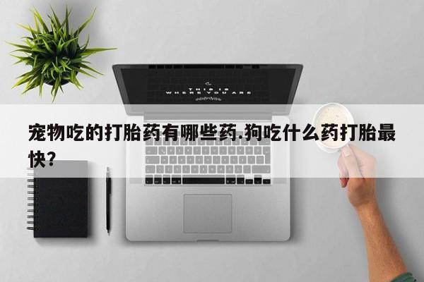 买流产药的联系方式宠物吃的打胎药有哪些药.狗吃什么药打胎最快？