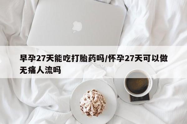 买流产药的联系方式早孕27天能吃打胎药吗/怀孕27天可以做无痛人流吗