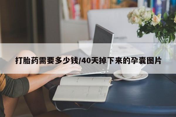 买流产药的联系方式打胎药需要多少钱/40天掉下来的孕囊图片